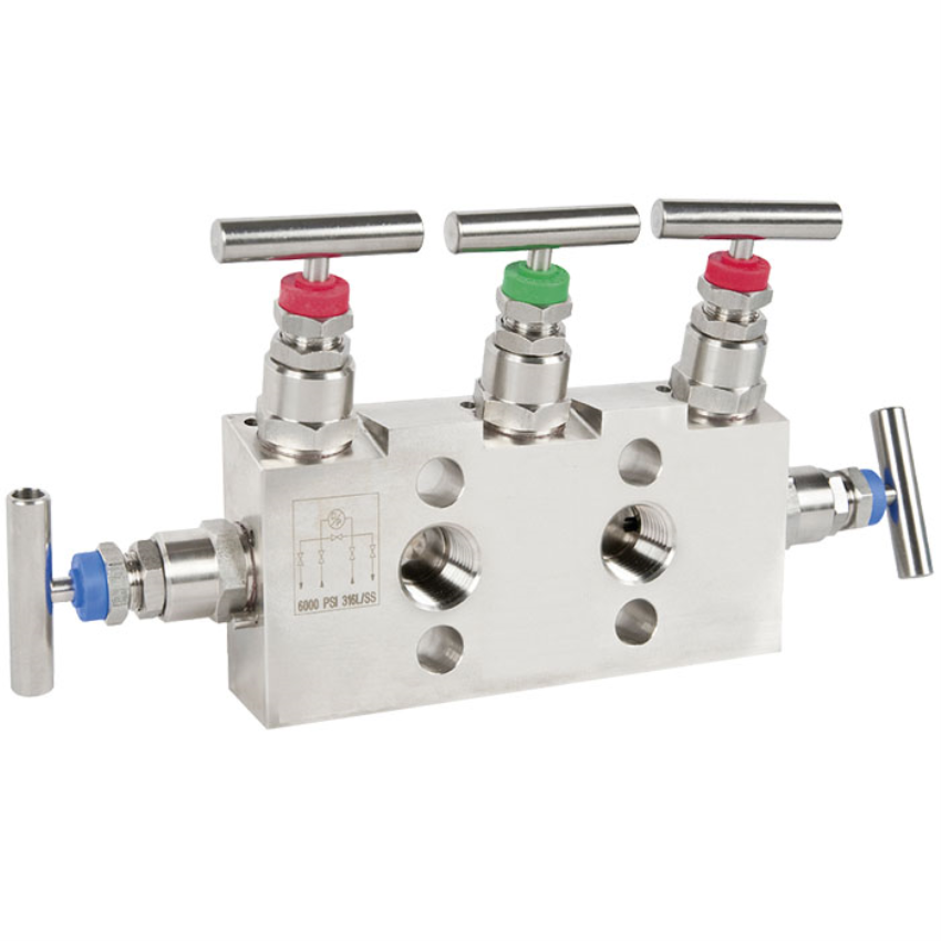 Instrumentation Valves ss manifold valve 2way